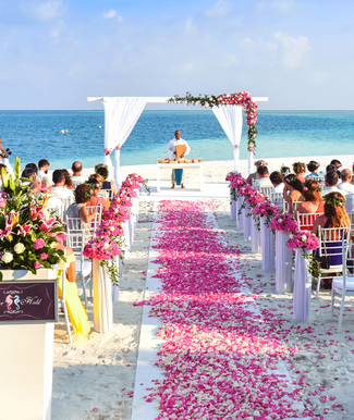What are the best months to get married in South FloridaPicture